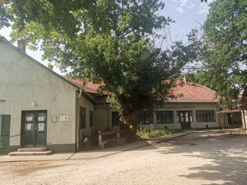 Váratlanul érkezett a hír a fakivágás tervéről / Fotó: kecsUP