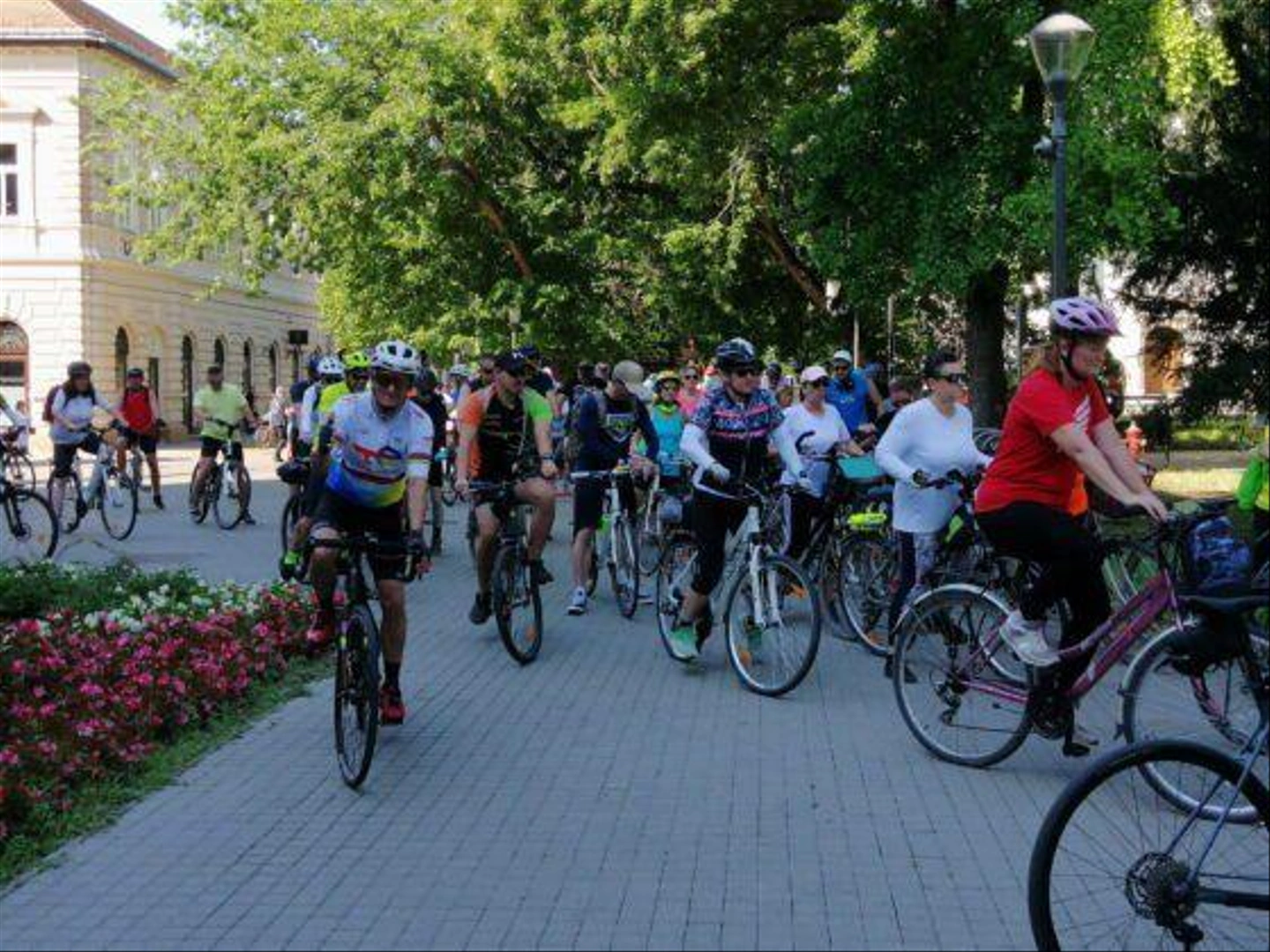 IMG_20250712_090219_resize-560x420.jpg