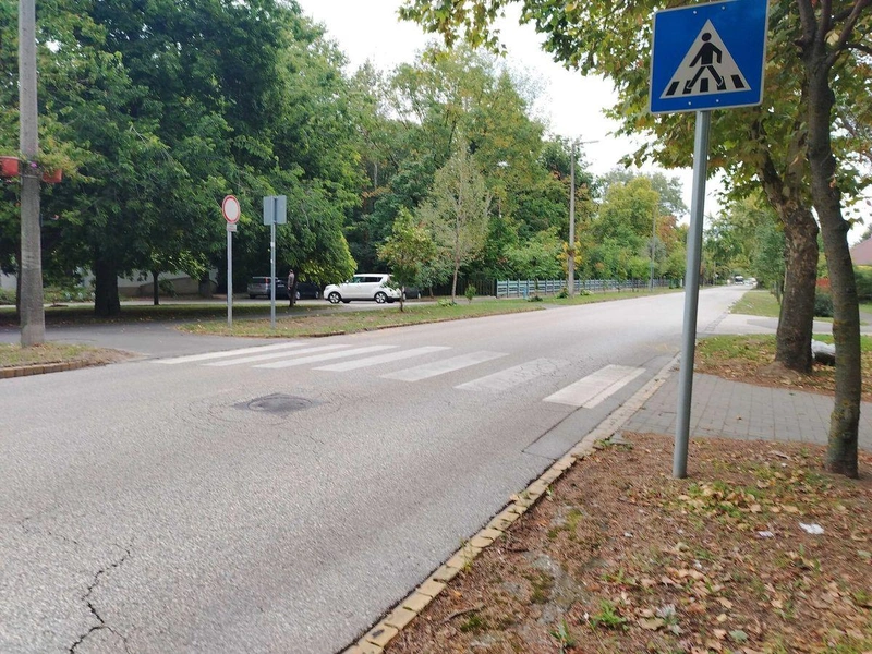 Háziversenyünk harmadik helyezettje az alábbi kopott zebra lett / Forrás: KecsUP Hírek
