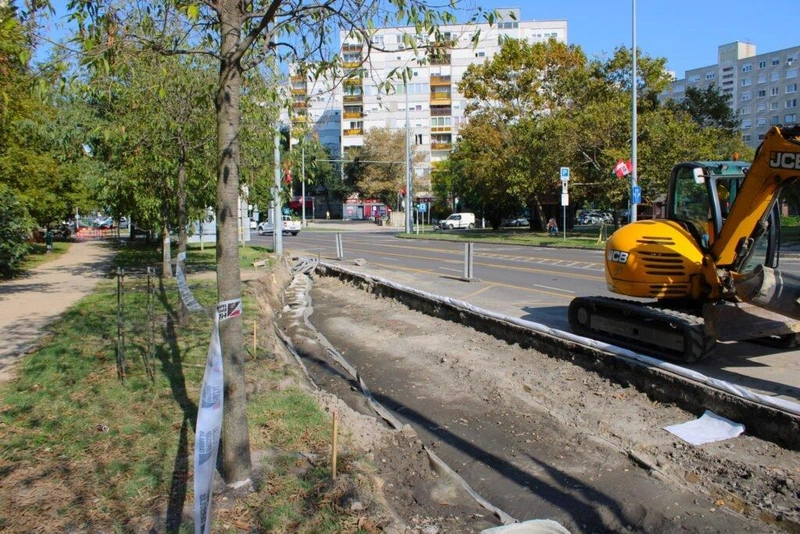 Az úttest széle egyre közelebb kanyarodik a fasorhoz