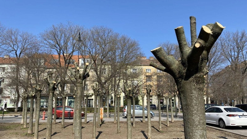 Fotó: KecsUP Hírek