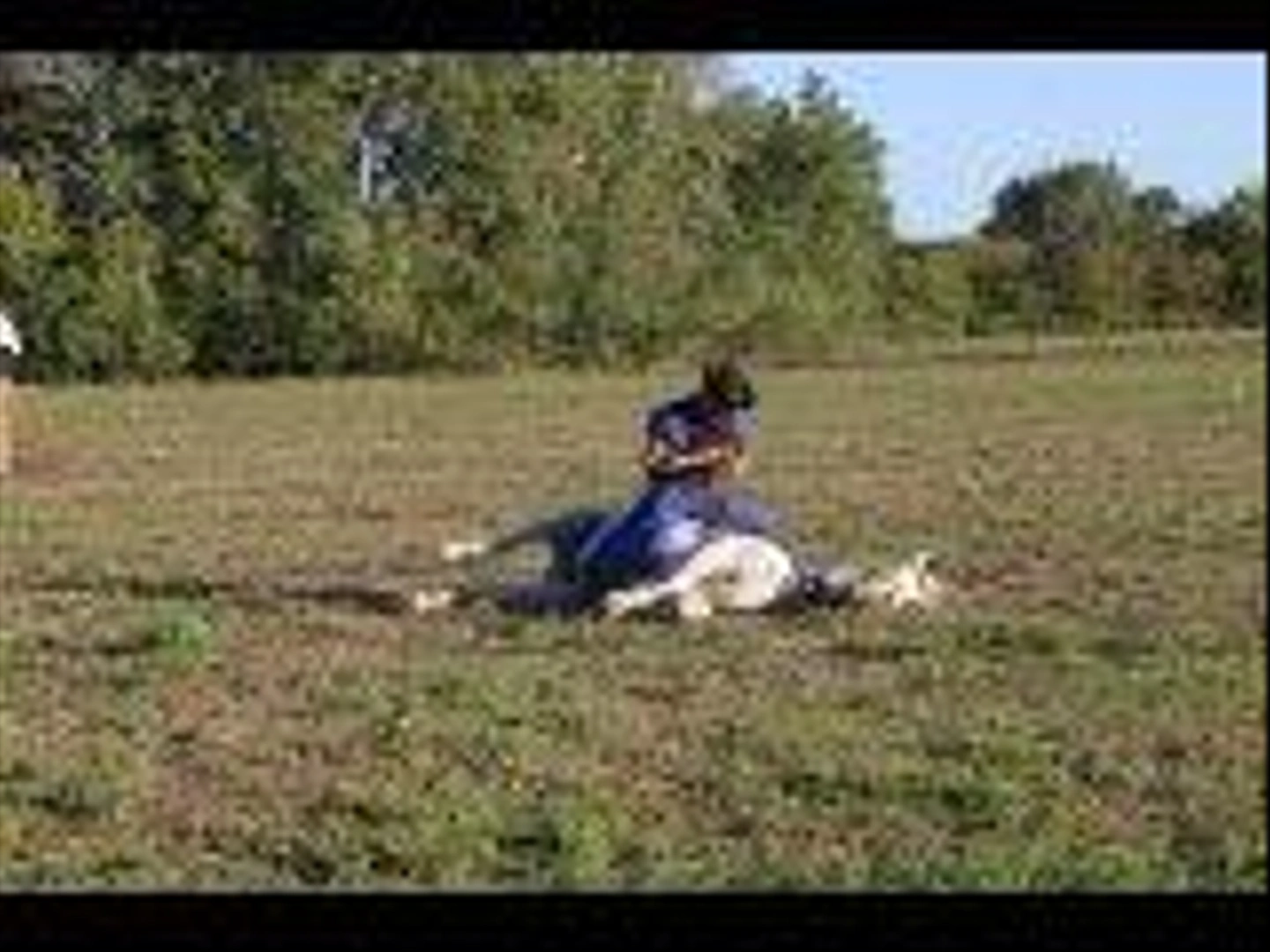 IMG_3441-1.jpg