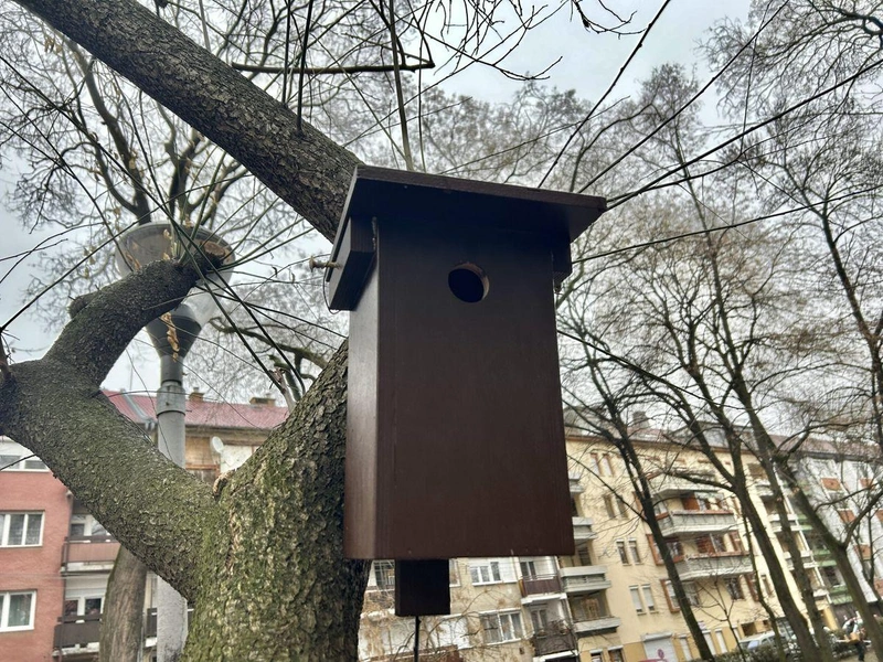 Fotó: KecsUP Hírek/Balla Szilárd