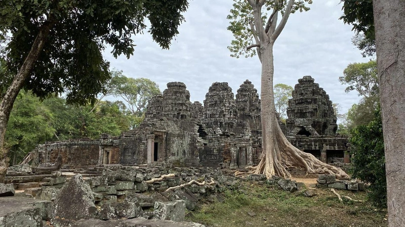 Angkor természetes világa / Fotó: Falusi Norbert