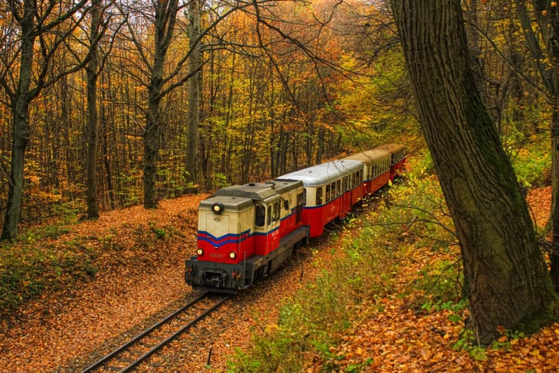 A MÁV Zrt Széchenyi-hegyi Gyermekvasútjának Mk45 2003 keskeny nyomtávú dízelmozdonya halad az őszi tájban, a Budai-hegyekben, Hűvösvölgy állomás után Hűvösvölgy-Széchenyihegy személyvonatával. A vonalon a kereskedelmi és forgalmi szolgálatot gyermekek látják el, amely csapatnak Botond is 3 évig tagja volt