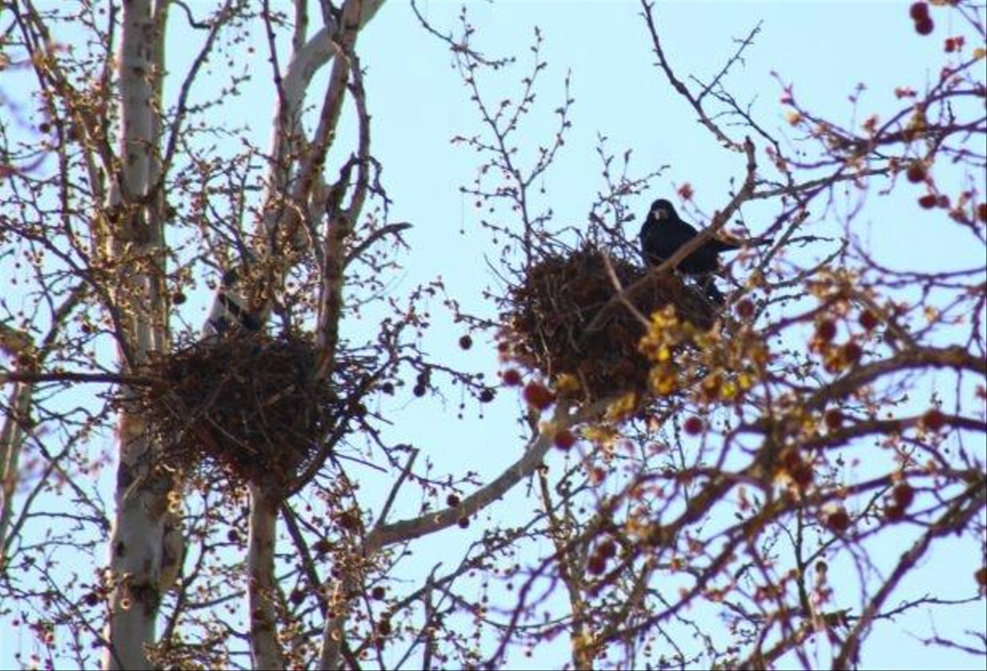IMG_8190-617x420.jpg