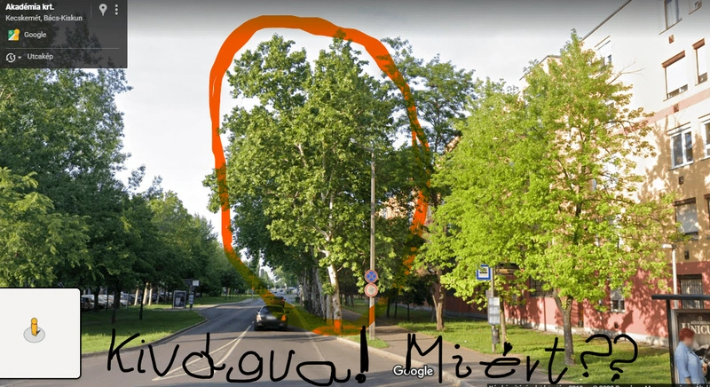 Ilyen volt nyáron