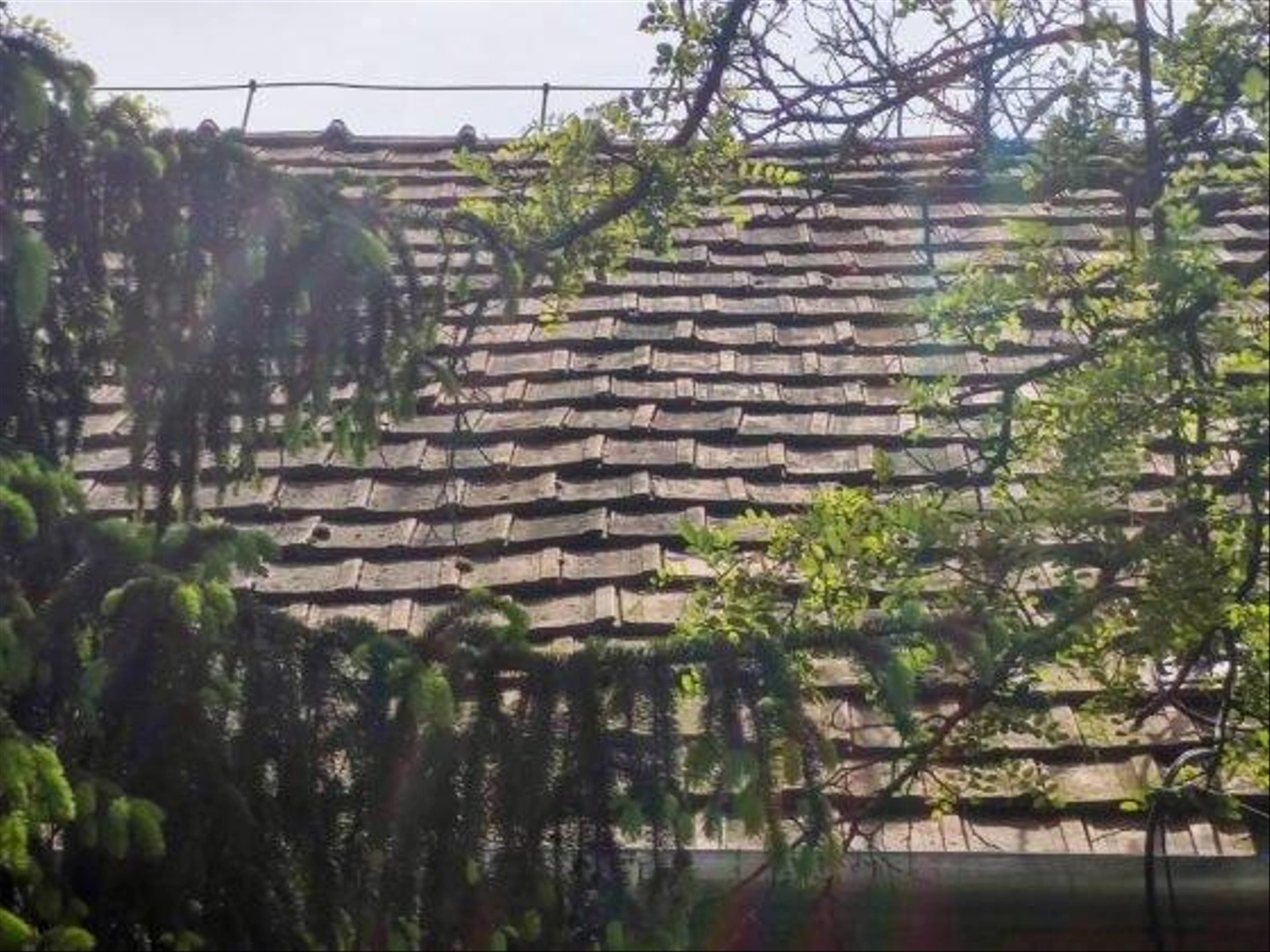 kadasuli-8-560x420.jpg