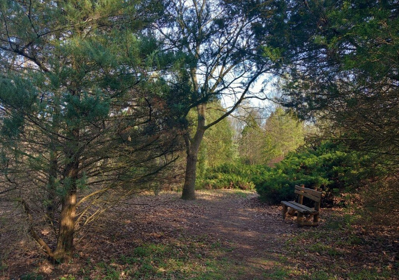 Kecskeméti Arborétum / Fotó: Hraskó István