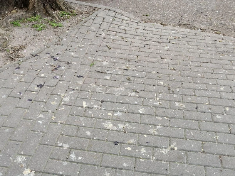 A Gyenes térről a Piaristák terére átkelés nehézségei / Fotó: KecsUP Hírek