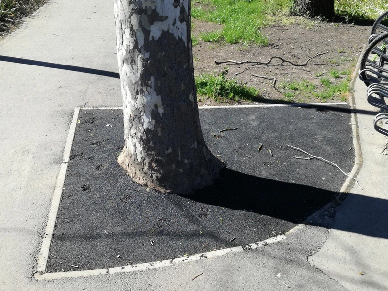 A gyorsétterem közelében található a harmadik fa, amelyik megkapta a gumiőrleményes burkolatot / Fotó: kecsup.hu