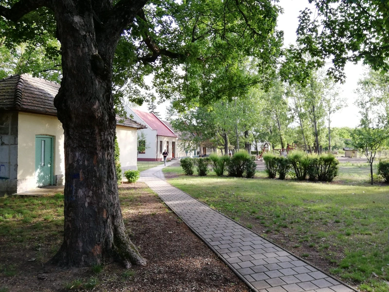 Az iskola több mint 10 ezer m2 területen helyezkedik el / Fotó: kecsup.hu
