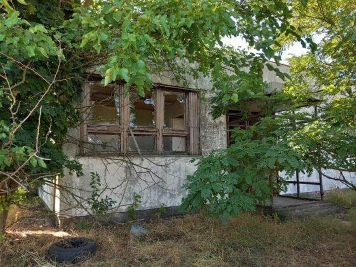 Kisfai-Szoleszeti-Boraszati-Kutato-1-560x420.jpg