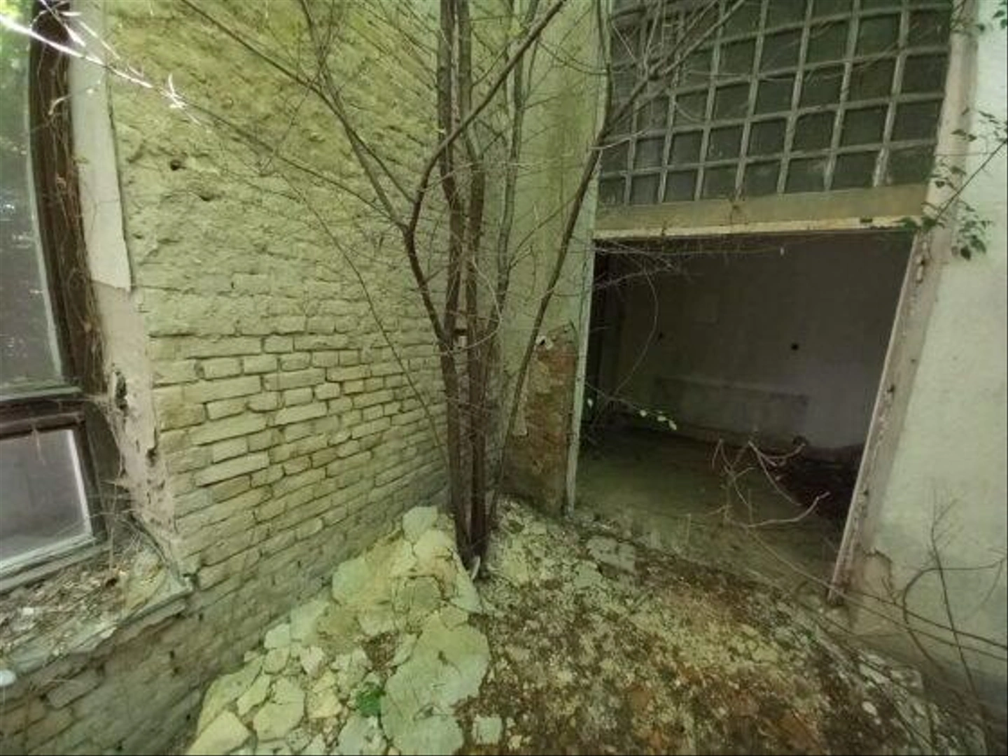 Kisfai-Szoleszeti-Boraszati-Kutato-21-560x420.jpg