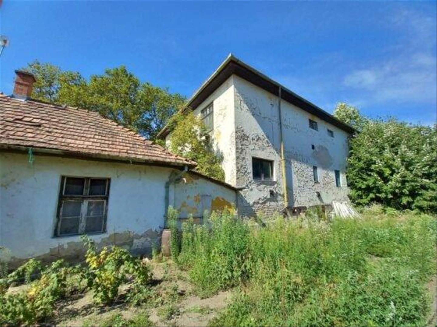 Kisfai-Szoleszeti-Boraszati-Kutato-33-560x420.jpg