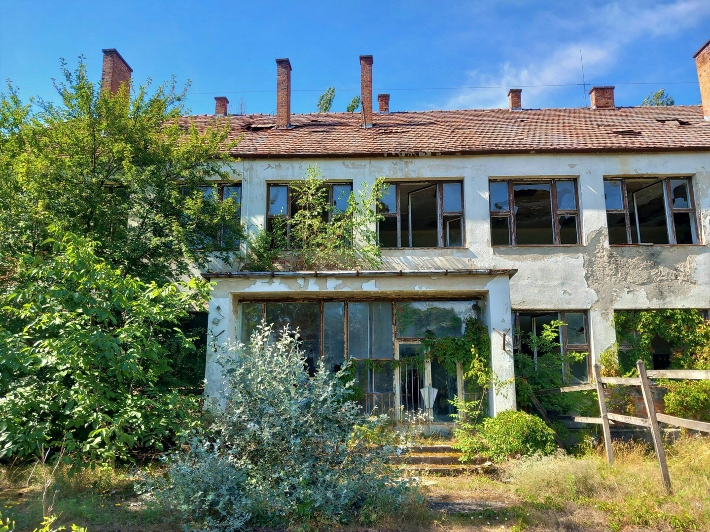 Kisfai-Szoleszeti-Boraszati-Kutato-42-1920x1440.jpg