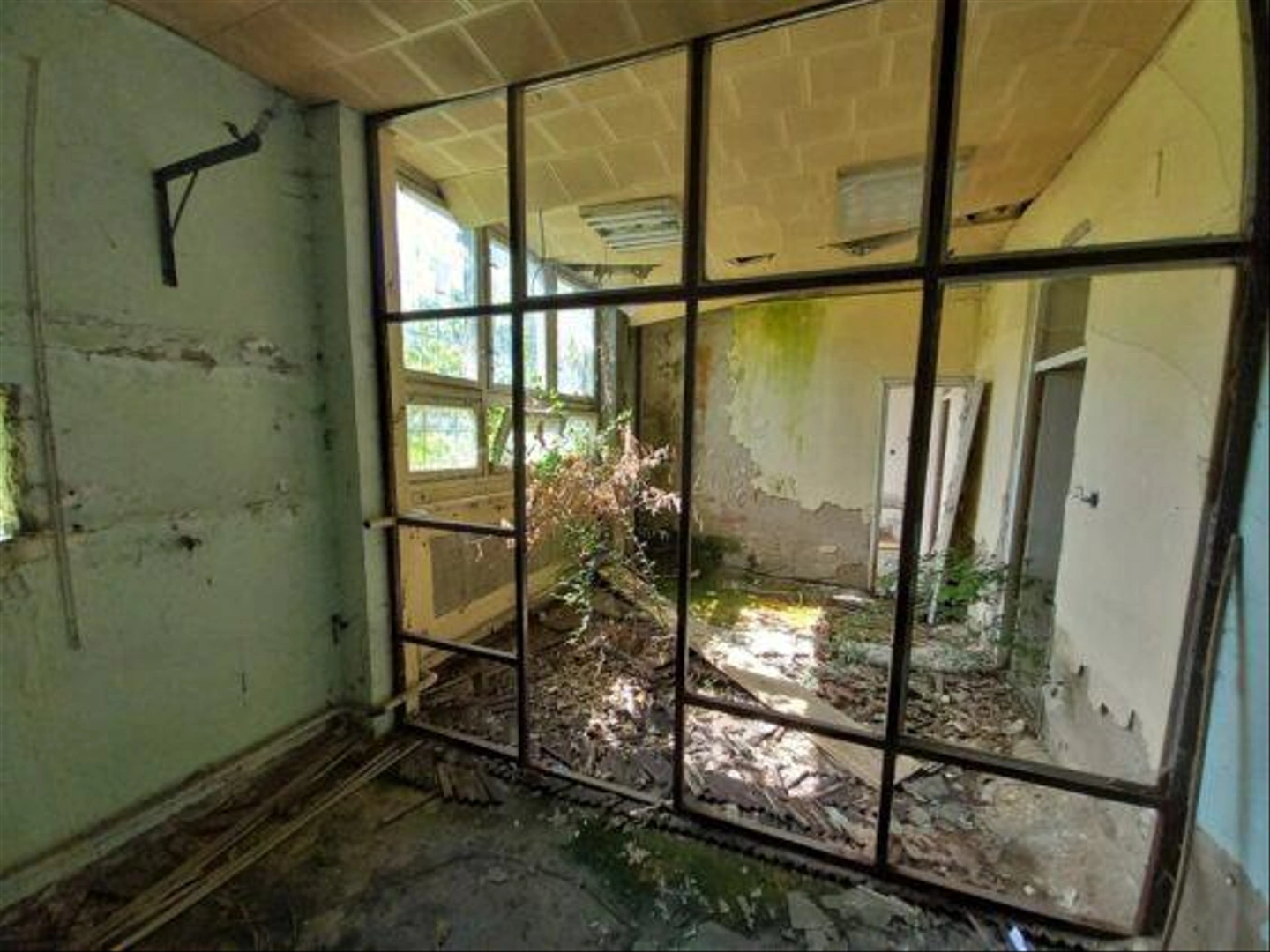Kisfai-Szoleszeti-Boraszati-Kutato-61-560x420.jpg