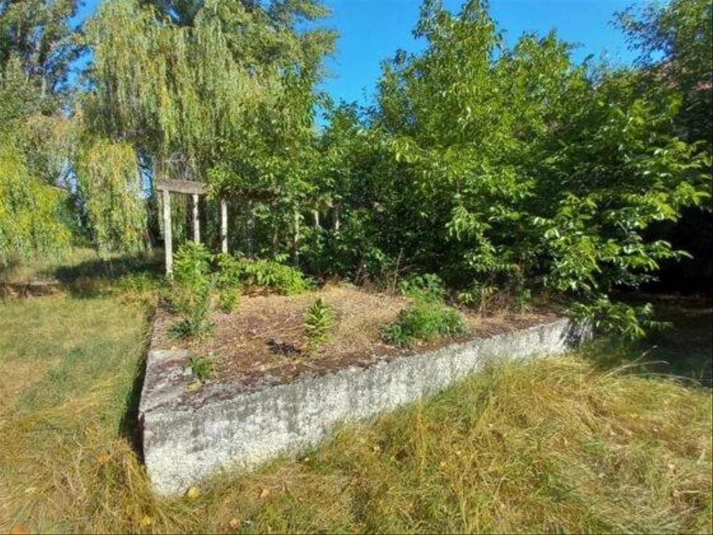 Kisfai-Szoleszeti-Boraszati-Kutato-7-560x420.jpg