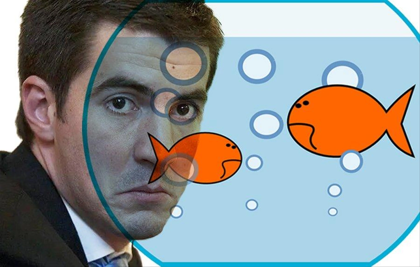 kocsis2.jpg