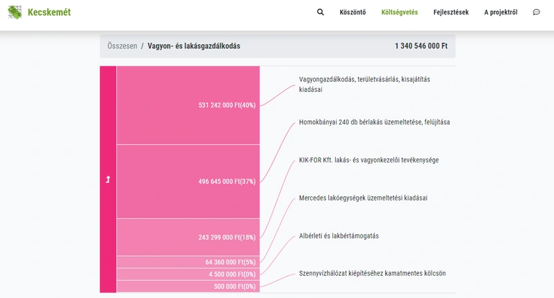 Részlet a programból / Fotó: képkivágás – kecskemetkoltsegvetese.kecsup.hu