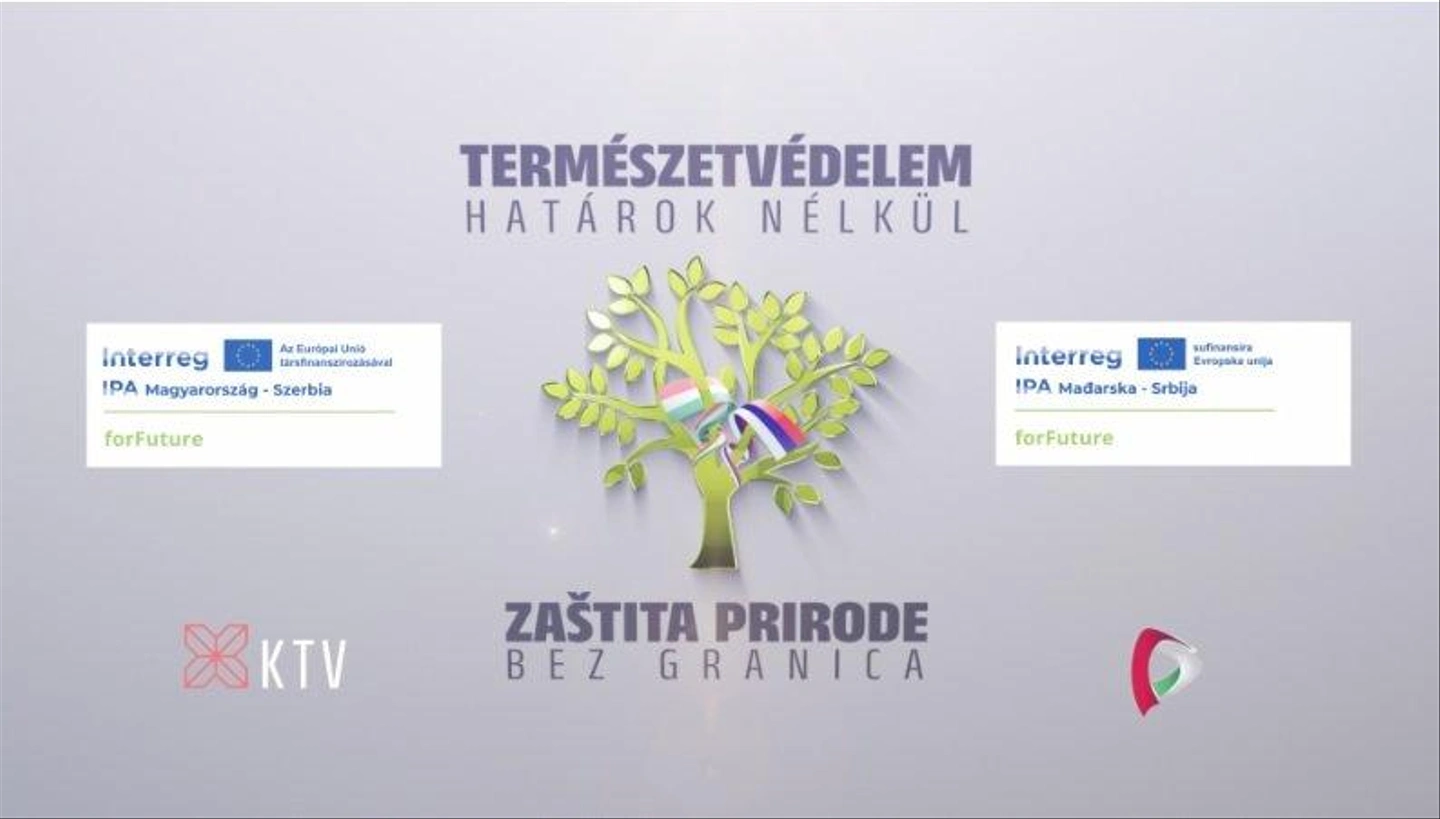 KTV-filmsorozat-by-EU.jpg