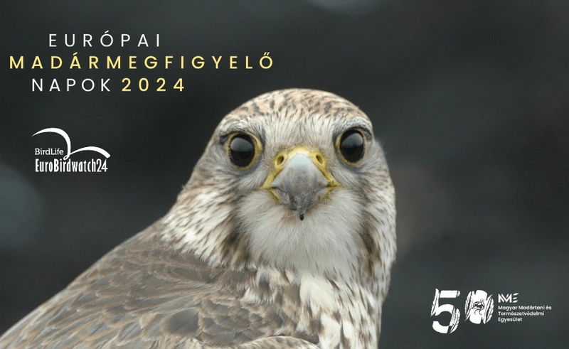 Forrás: MME honlapja
