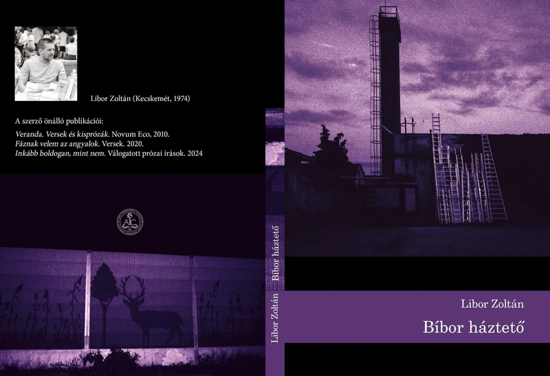 Libor Zoltán – Bíbor háztetők borító
