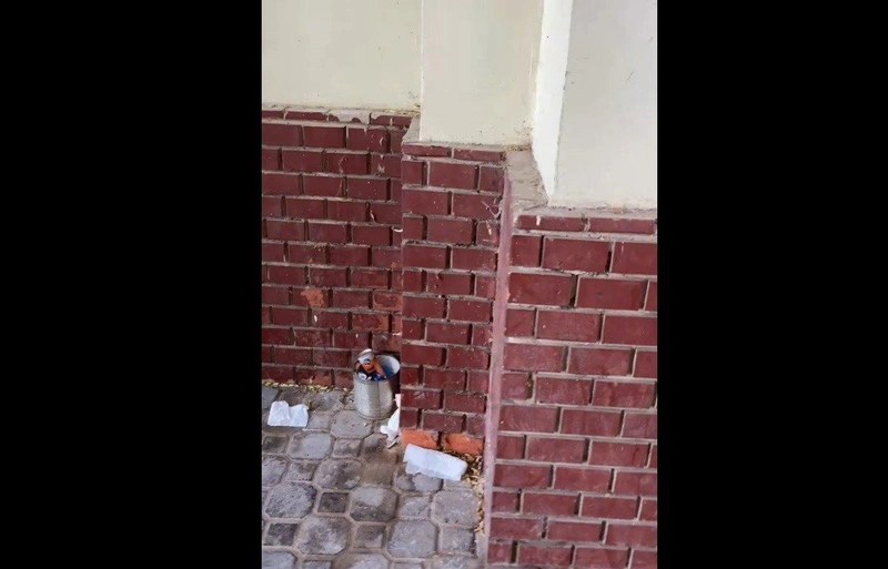 luth2.jpg