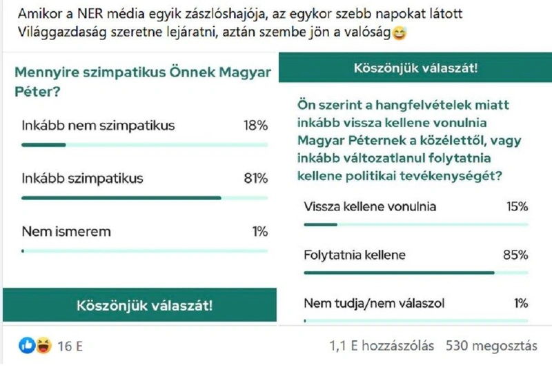 Magyar-Peter-szavazas.jpg