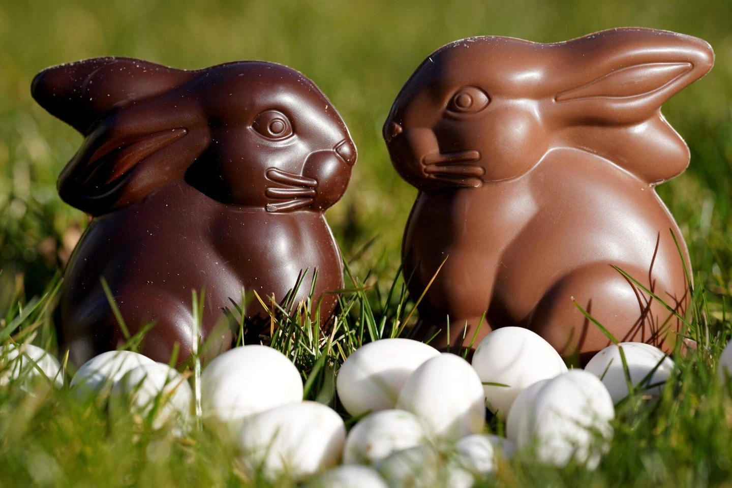 makabera-easter-bunny-7037615-scaled-1920x1280.jpg