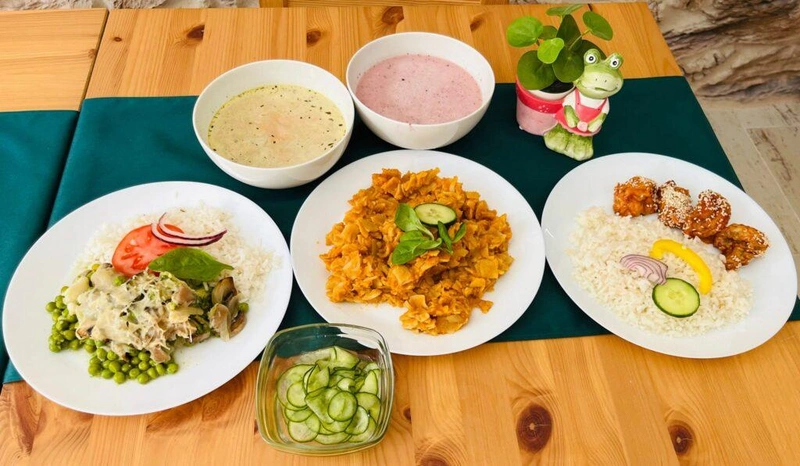 MegaVegan-4-1024x596.jpg