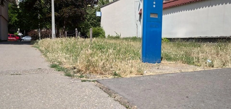 mehlegelokecsxdkemet2.jpg