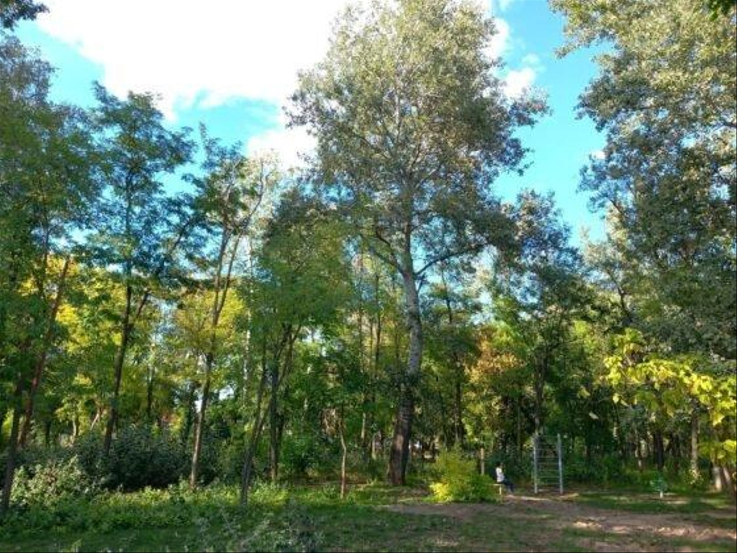 Melinda-park-12-560x420.jpg