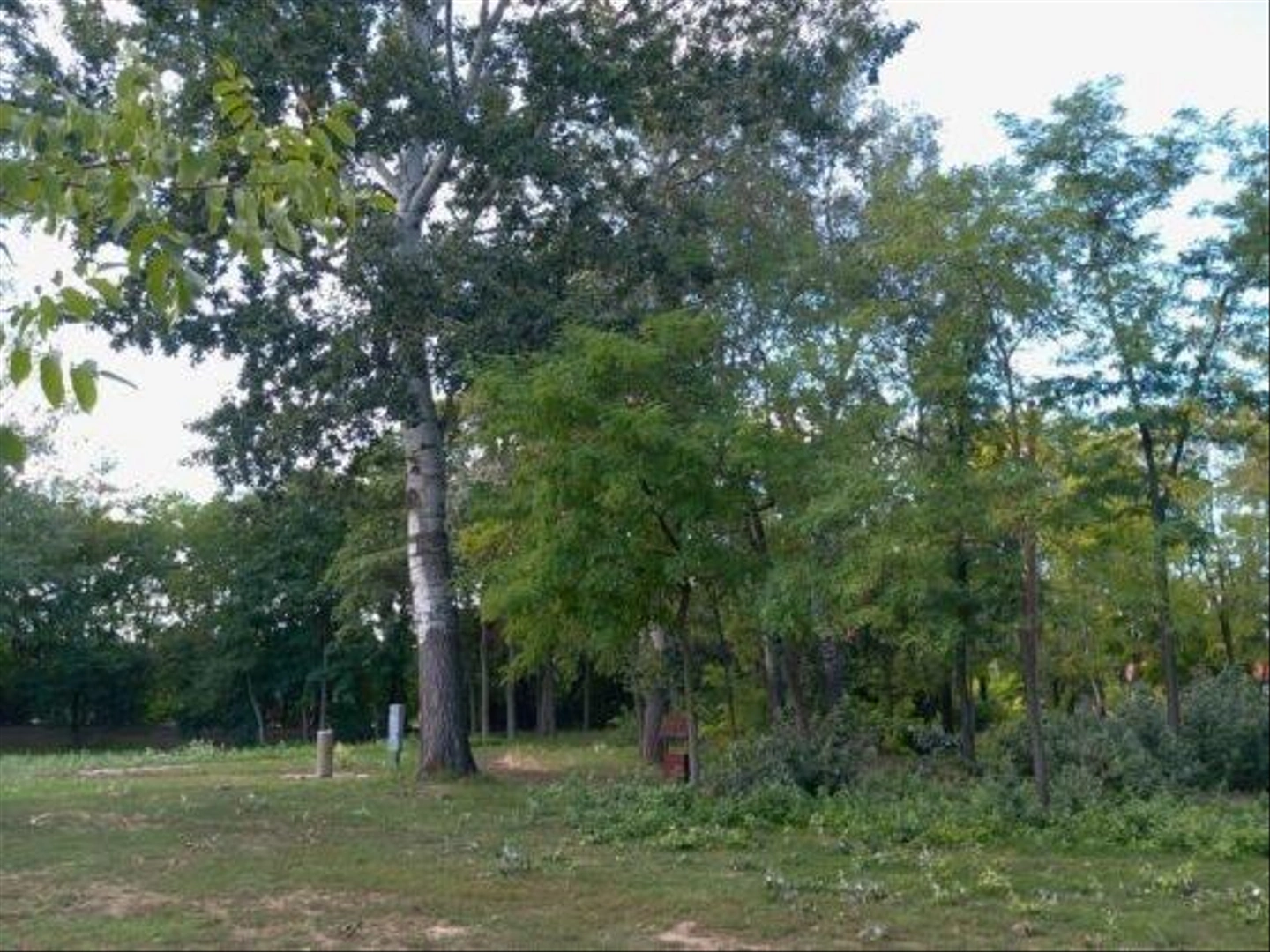Melinda-park-3-560x420.jpg