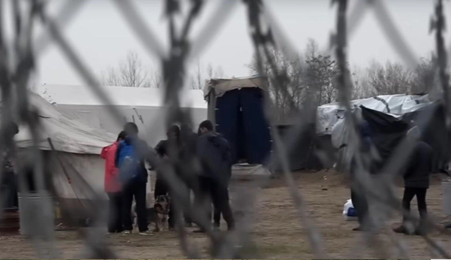 migracio.jpg