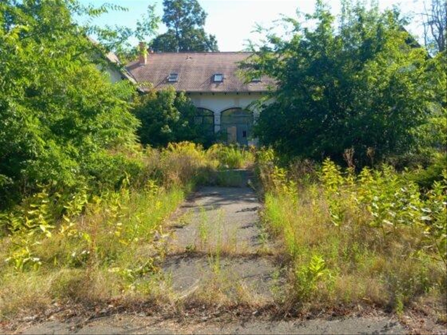 Miklostelep-kutatointezet-112-560x420.jpg