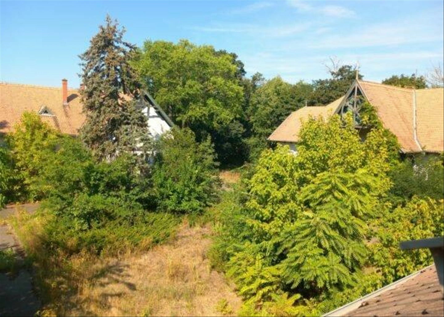 Miklostelep-kutatointezet-203-589x420.jpg