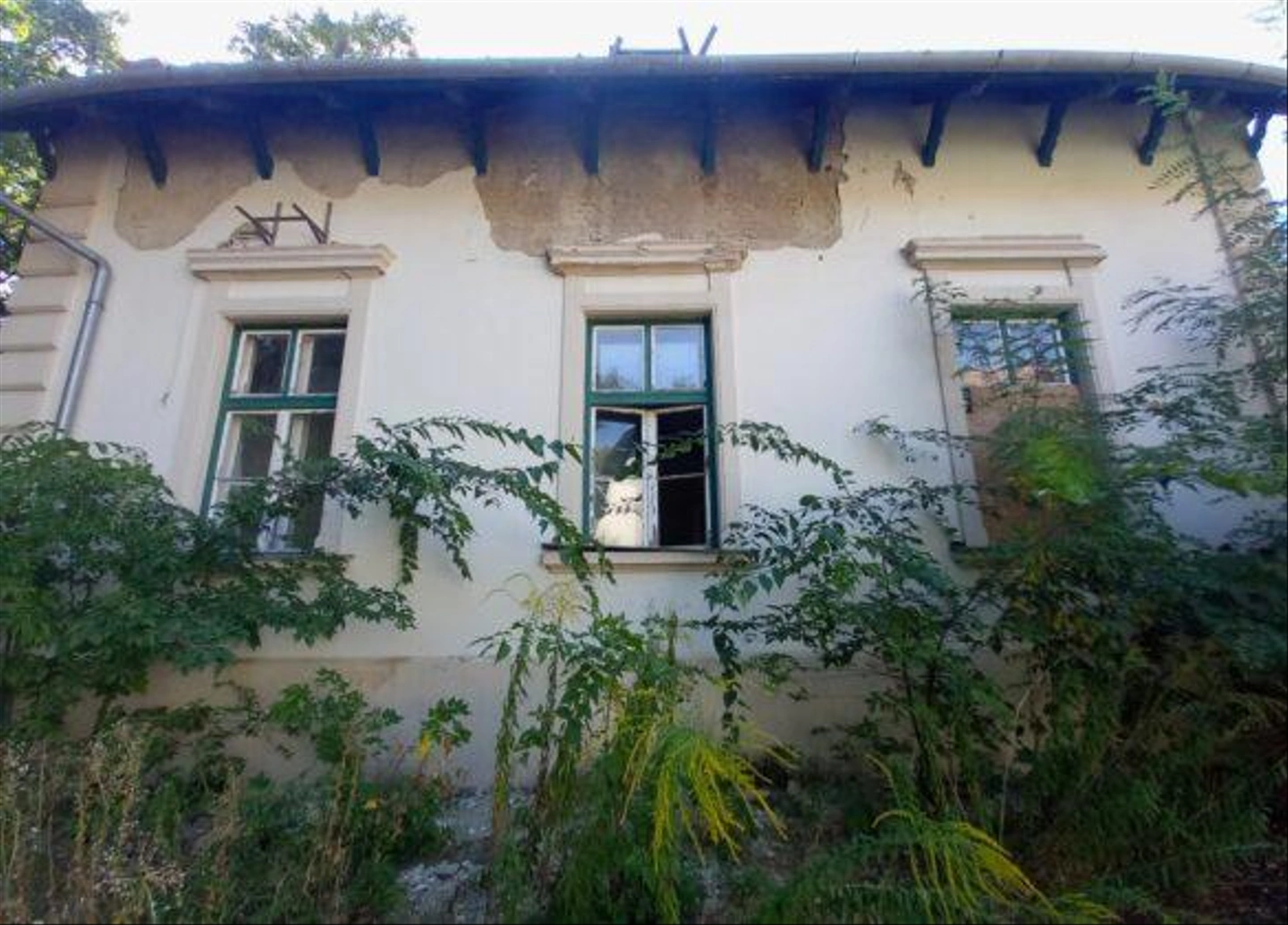 Miklostelep-kutatointezet-319-585x420.jpg