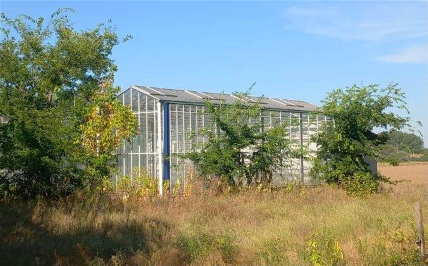 Miklostelep-kutatointezet-66-676x420.jpg