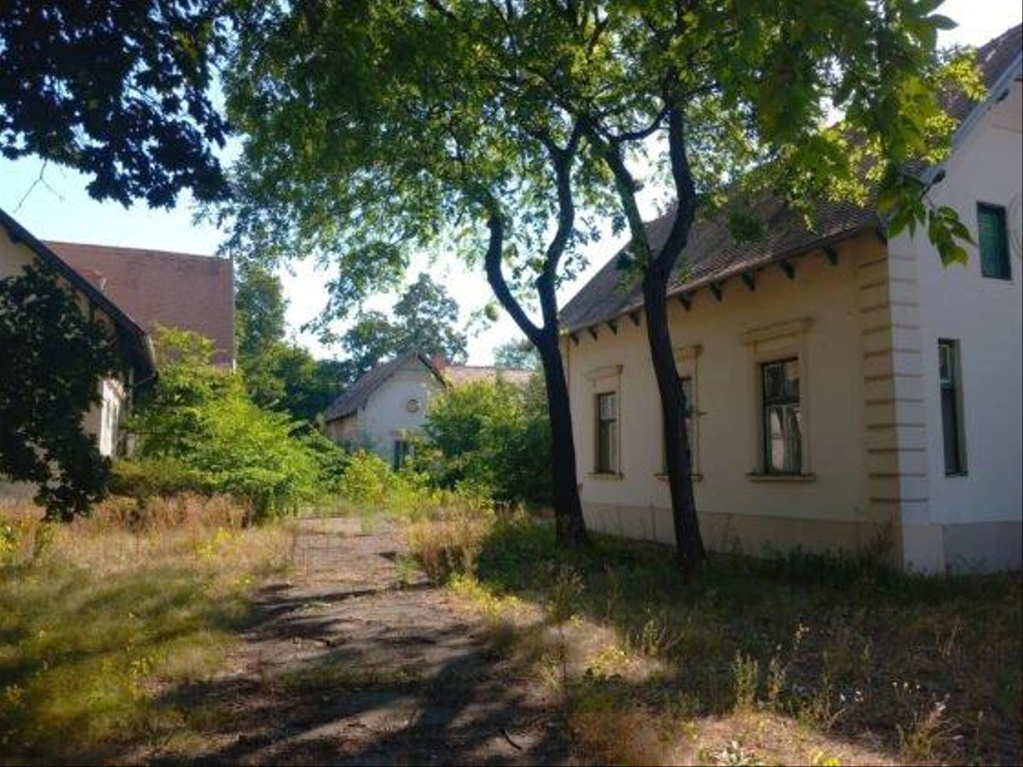 Miklostelep-kutatointezet-88-560x420.jpg