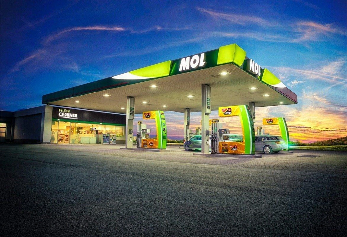 mol5.jpg