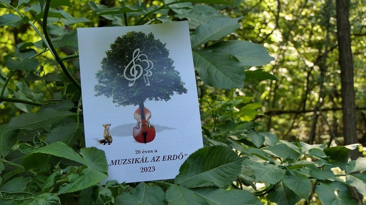 muzsikal-az-erdo2.jpg