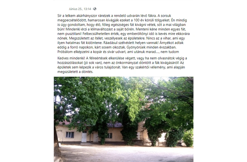 Egy magánszemély posztolta a fakivágás tervét / Fotó: facebook képkivágás