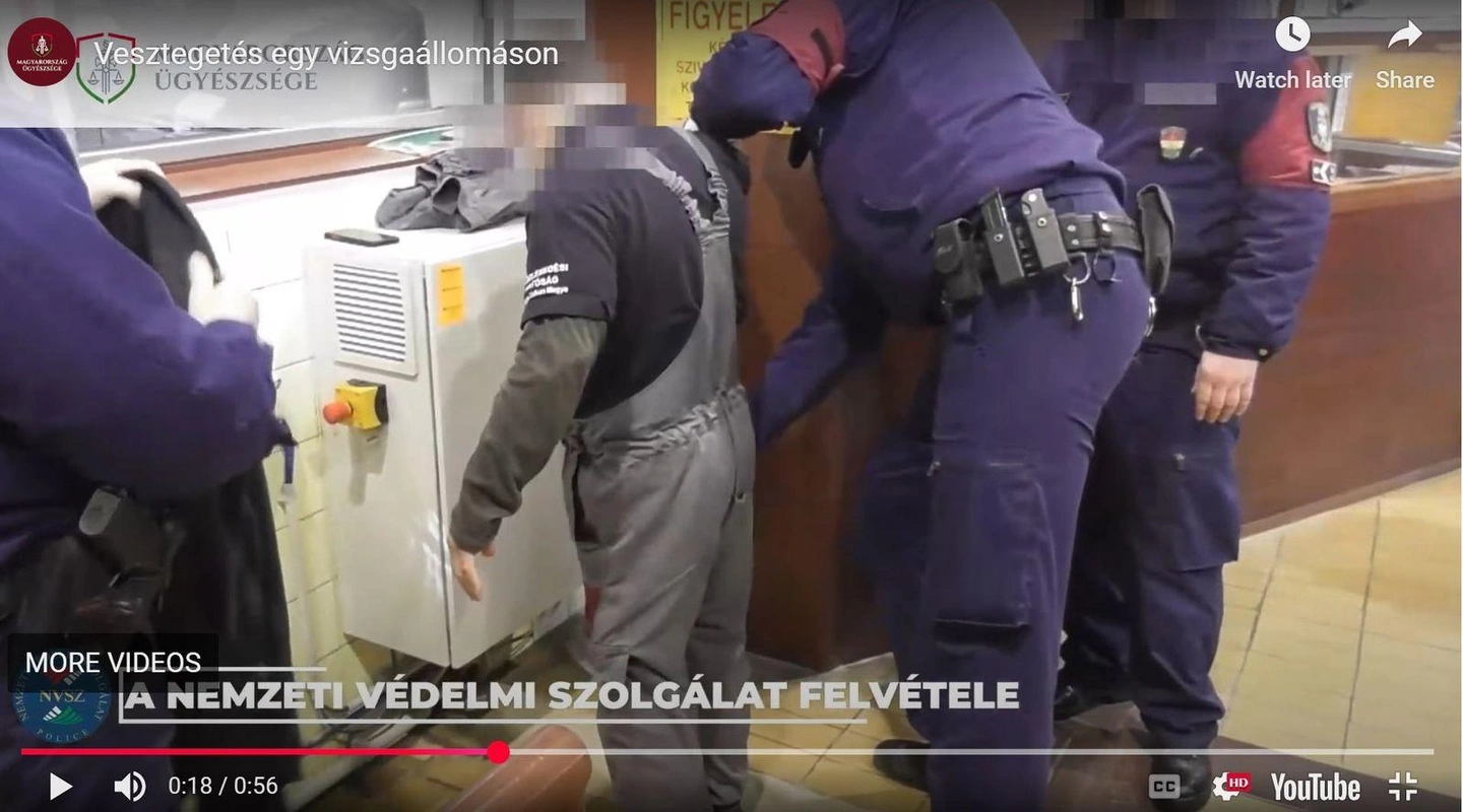 NVSZ-video.jpg