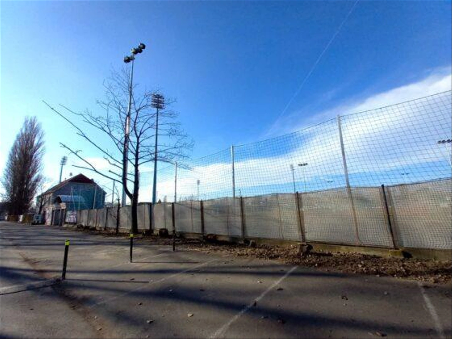Olimpia-utca-kivagott-fak-23-560x420.jpg
