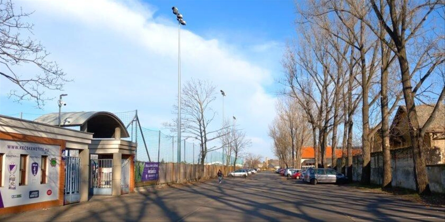 Olimpia-utca-kivagott-fak-34-840x420.jpg