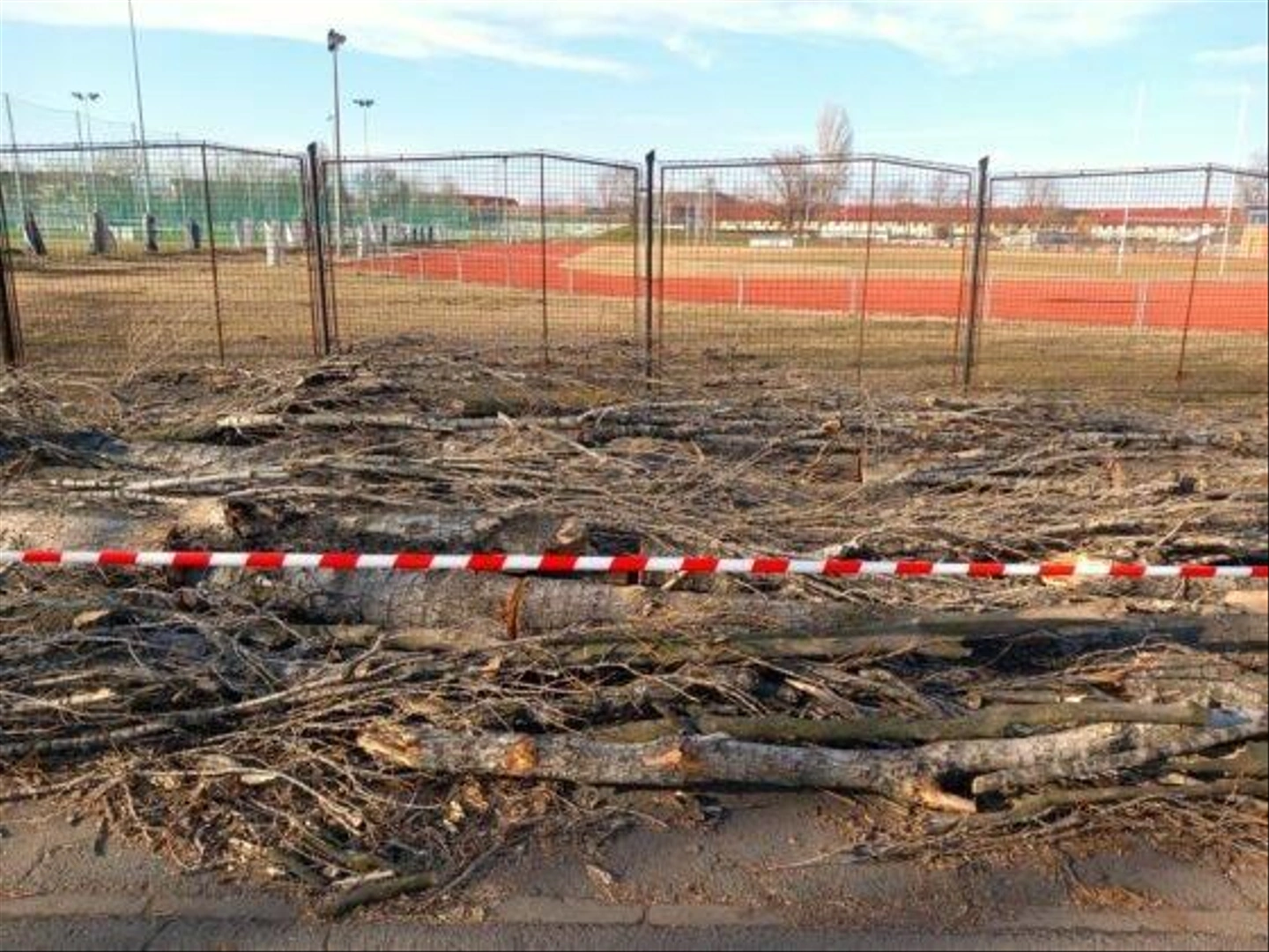 Olimpia-utca-kivagott-fak-43-560x420.jpg