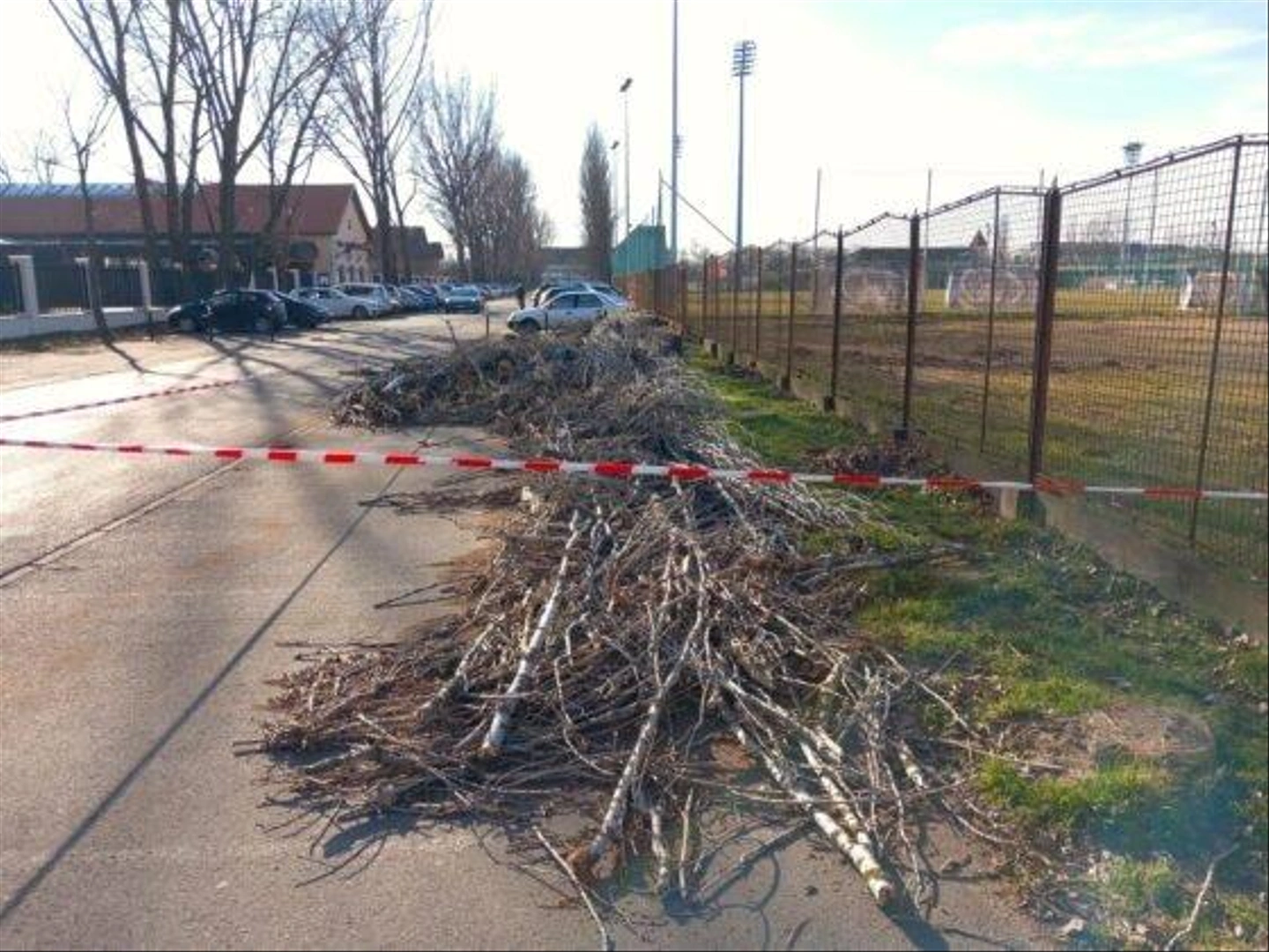 Olimpia-utca-kivagott-fak-7-560x420.jpg