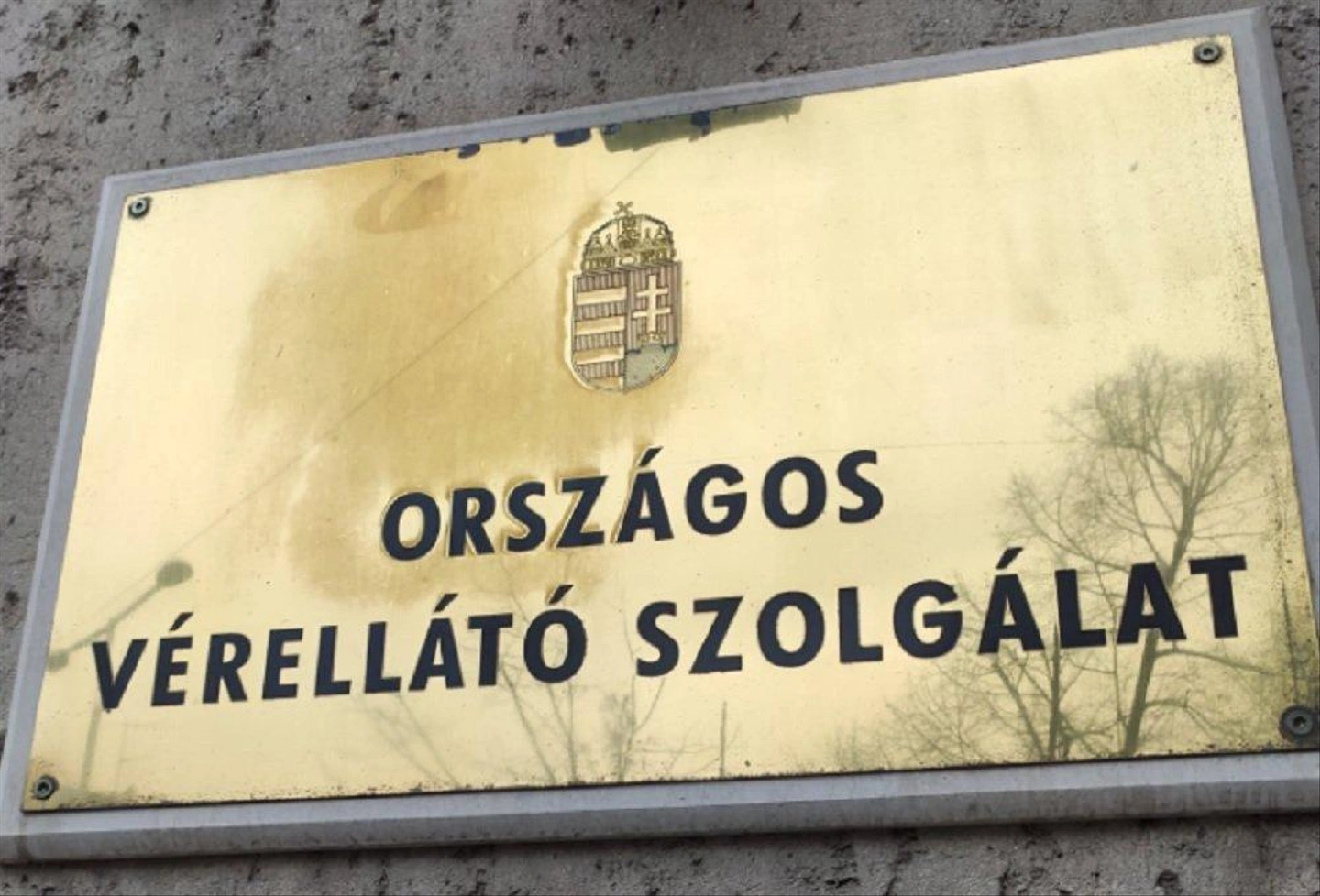 ovsz.jpg