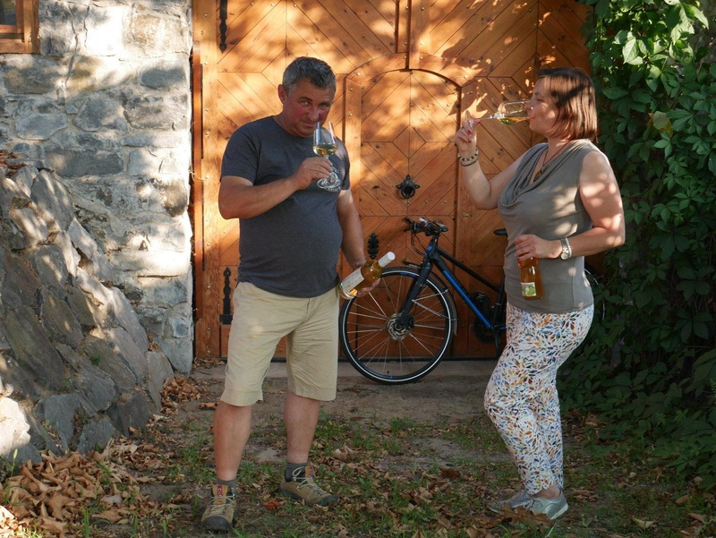 P1080579-1.jpg